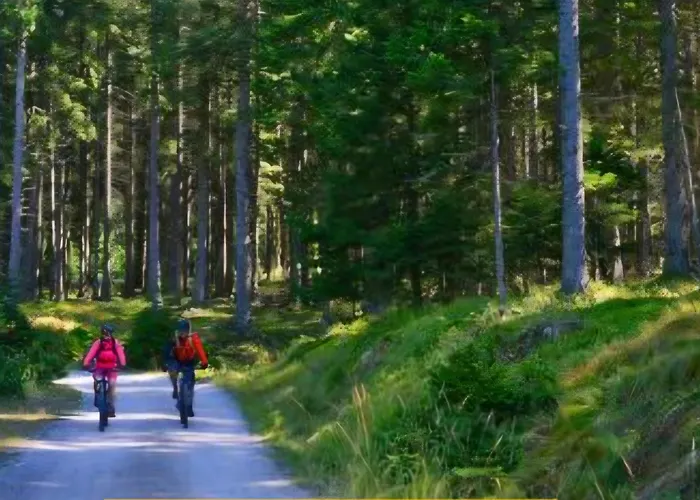 Dolce Apartment Maribor